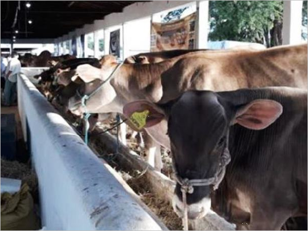 Faltam 2 dias para a 52ª Exposição Agropecuária do Seridó em Caicó
