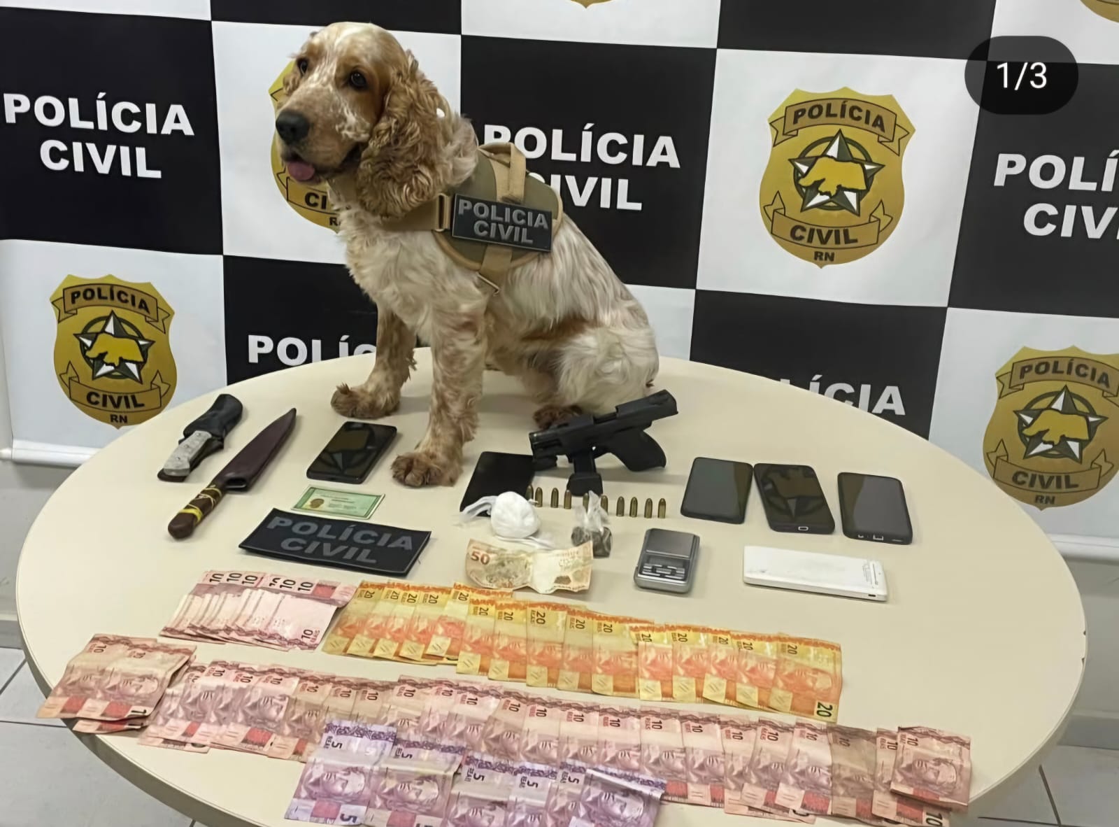 Polícia Civil deflagra “Operação Litoral Silencioso” e prende suspeitos por tráfico de drogas e posse ilegal de arma de fogo em Pirangi