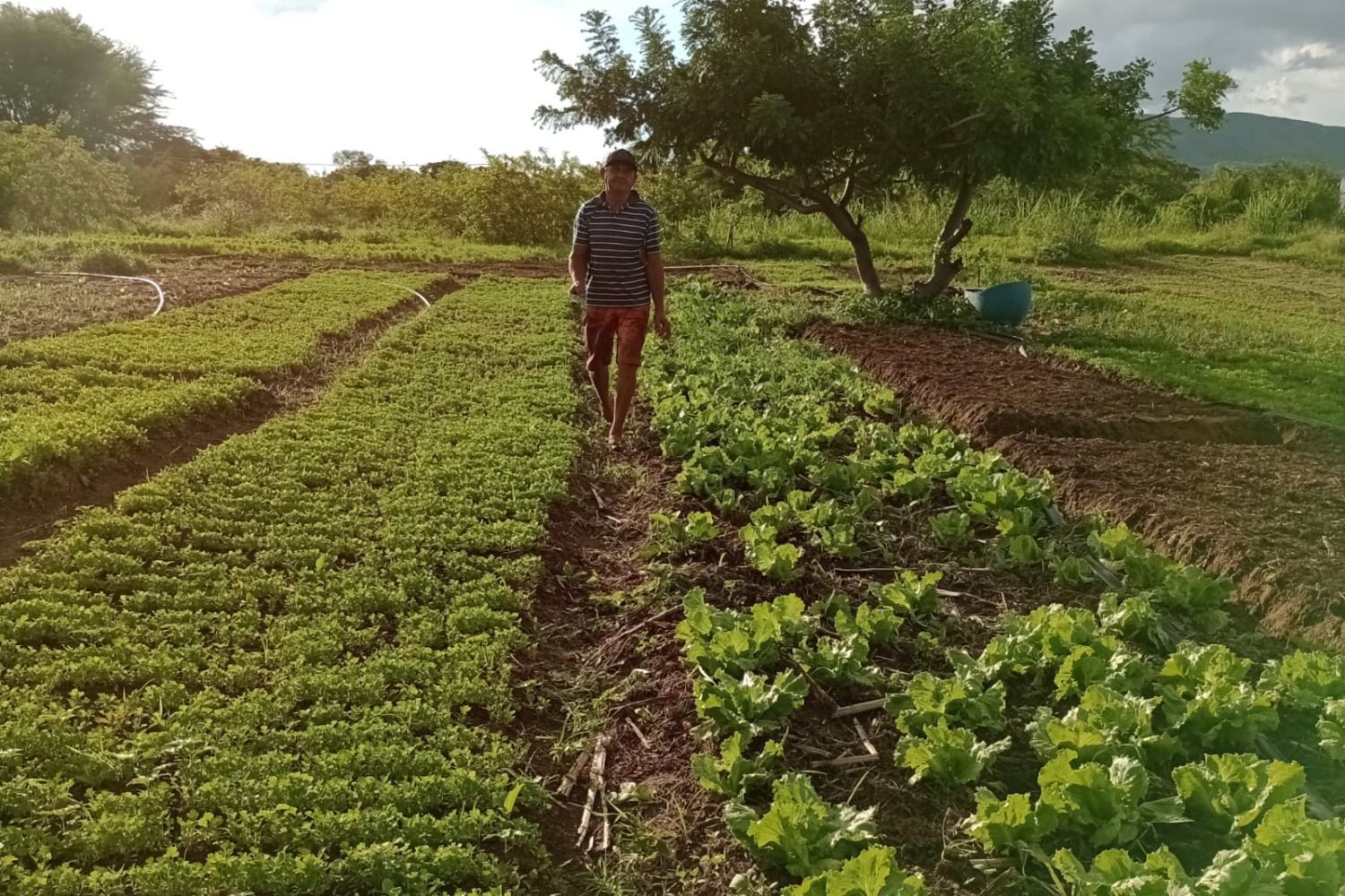 Rio Grande do Norte é o segundo estado do país que mais executou projetos produtivos do Fomento Rural, diz Governo