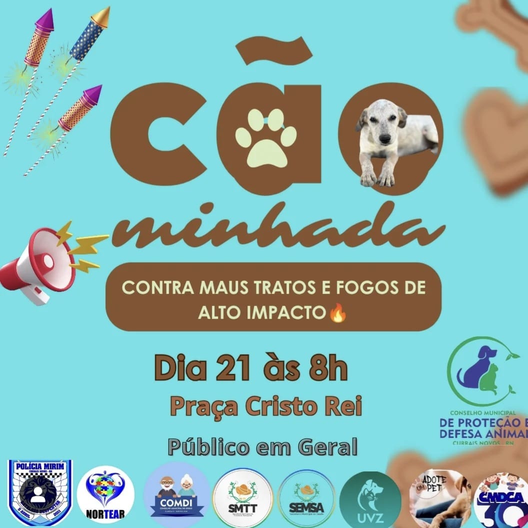 CãoMinhada 2025 mobiliza Currais Novos em defesa dos animais e contra os fogos de alto impacto sonoro