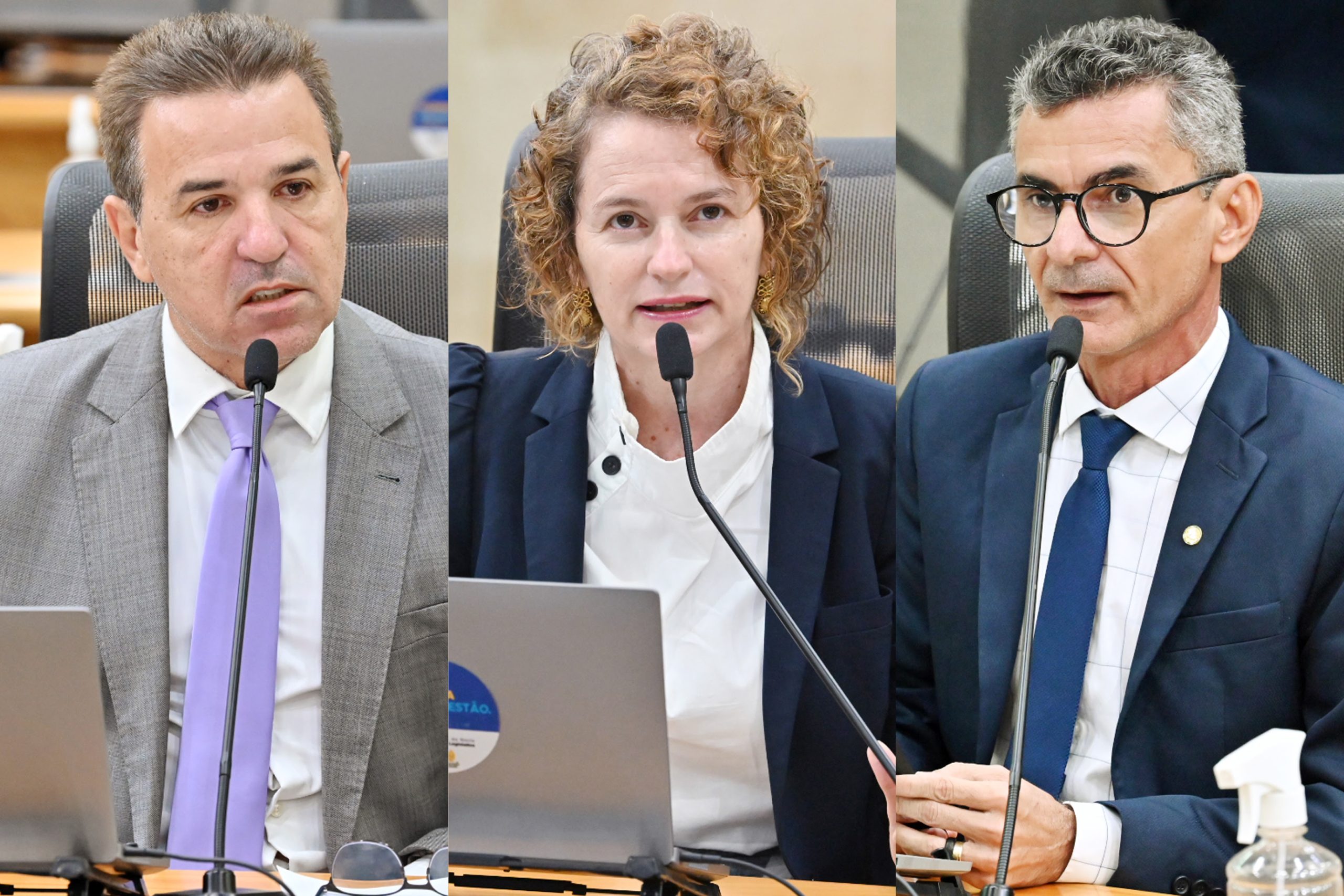 Líderes parlamentares chamam atenção para divulgação de fake news e defendem democracia