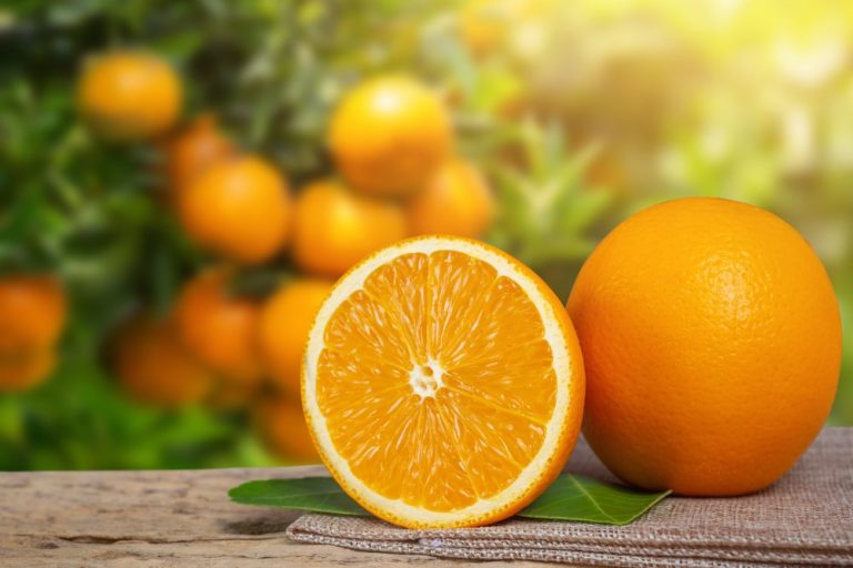 Preço da caixa de laranja cai de R$ 80 para R$ 26 no Brasil e tarifa de Trump pode inviabilizar negócio