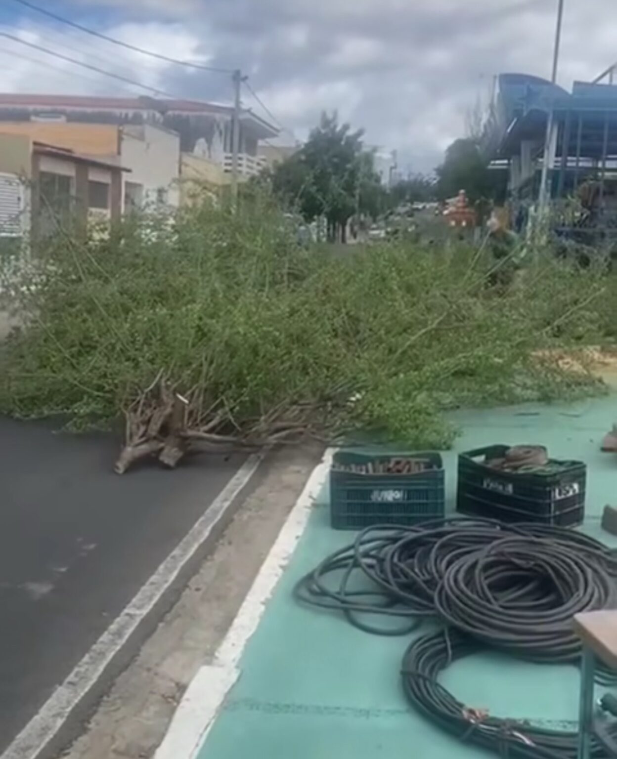Prefeitura  de Currais Novos notifica empresa de parque de diversões por danos a árvores