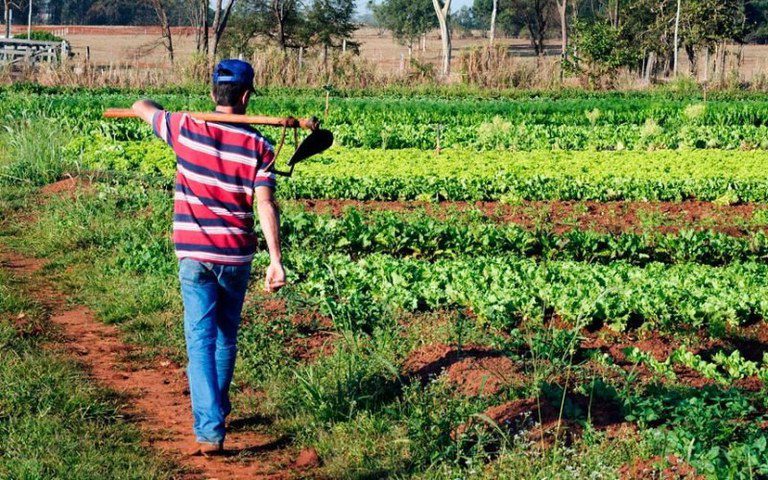Desenrola Rural ultrapassa meta e soma 313 mil operações de renegociação de dívidas