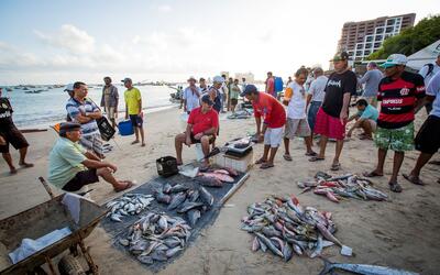Impactos socioambientais e econômicos sem precedentes das mudanças climáticas na pesca devem gerar despesas bilionárias ao governo