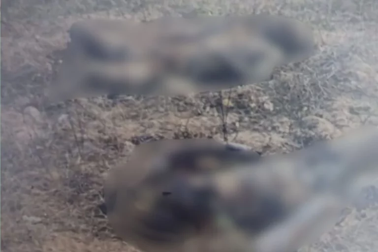 Dois corpos carbonizados são encontrados na zona rural de Campo Redondo