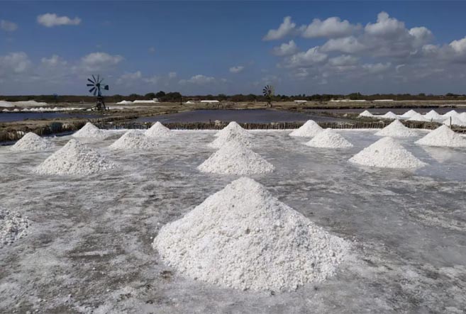 MPF propõe acordos a salinas do RN para desocupar áreas de preservação e compensar danos ambientais