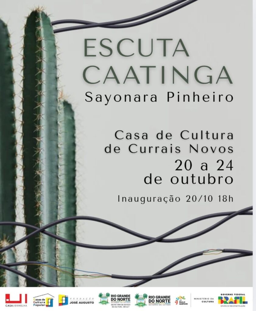 Instalação sonora “Escuta Caatinga” será apresentada em Currais Novos