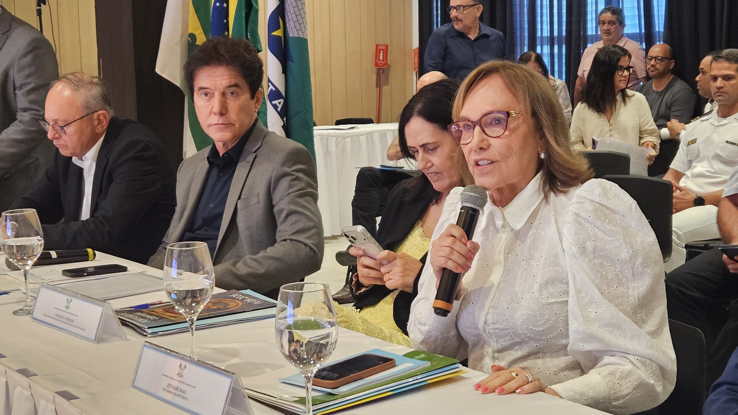 Zenaide Maia participa de reunião de bancada para definir prioridades das emendas ao Orçamento de 2026