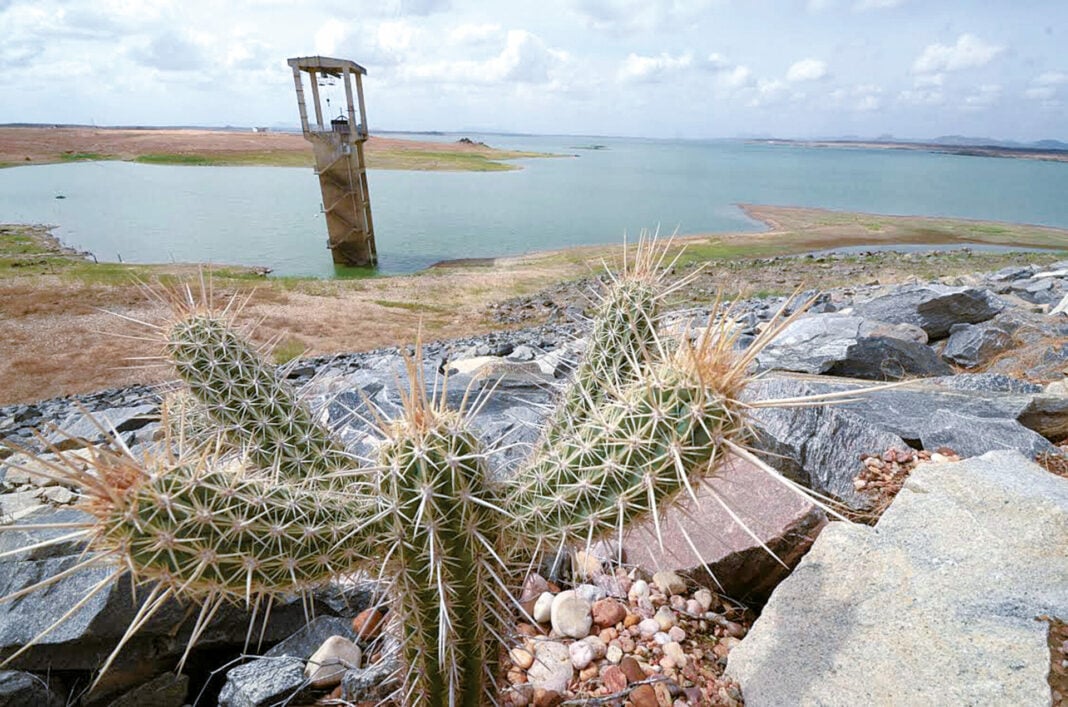 Agência das Águas aponta que seca extrema no RN é a pior desde 2018