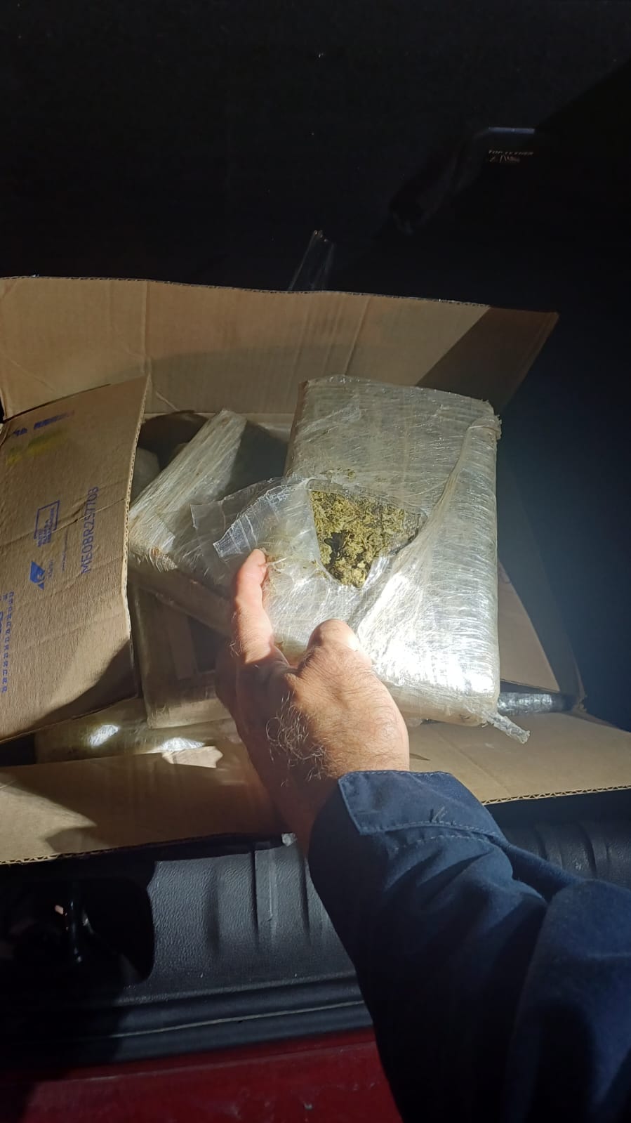 Operação Território Seguro: PRF e PC/PB apreendem 22 kg de haxixe na BR-406