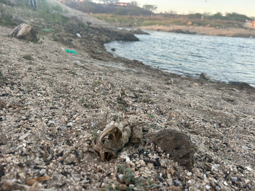 Alerta: Açude Dourado está com 13% de sua capacidade total e se aproxima do volume morto