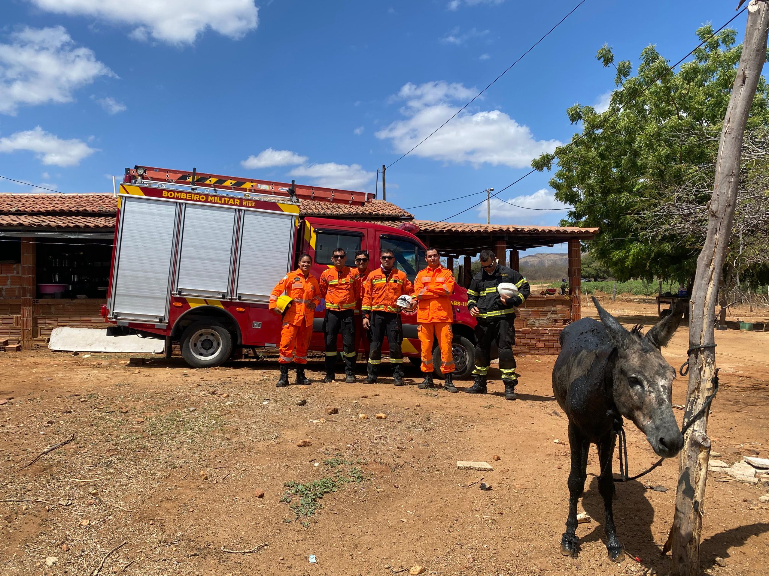Resgate de animal na zona rural de Currais Novos