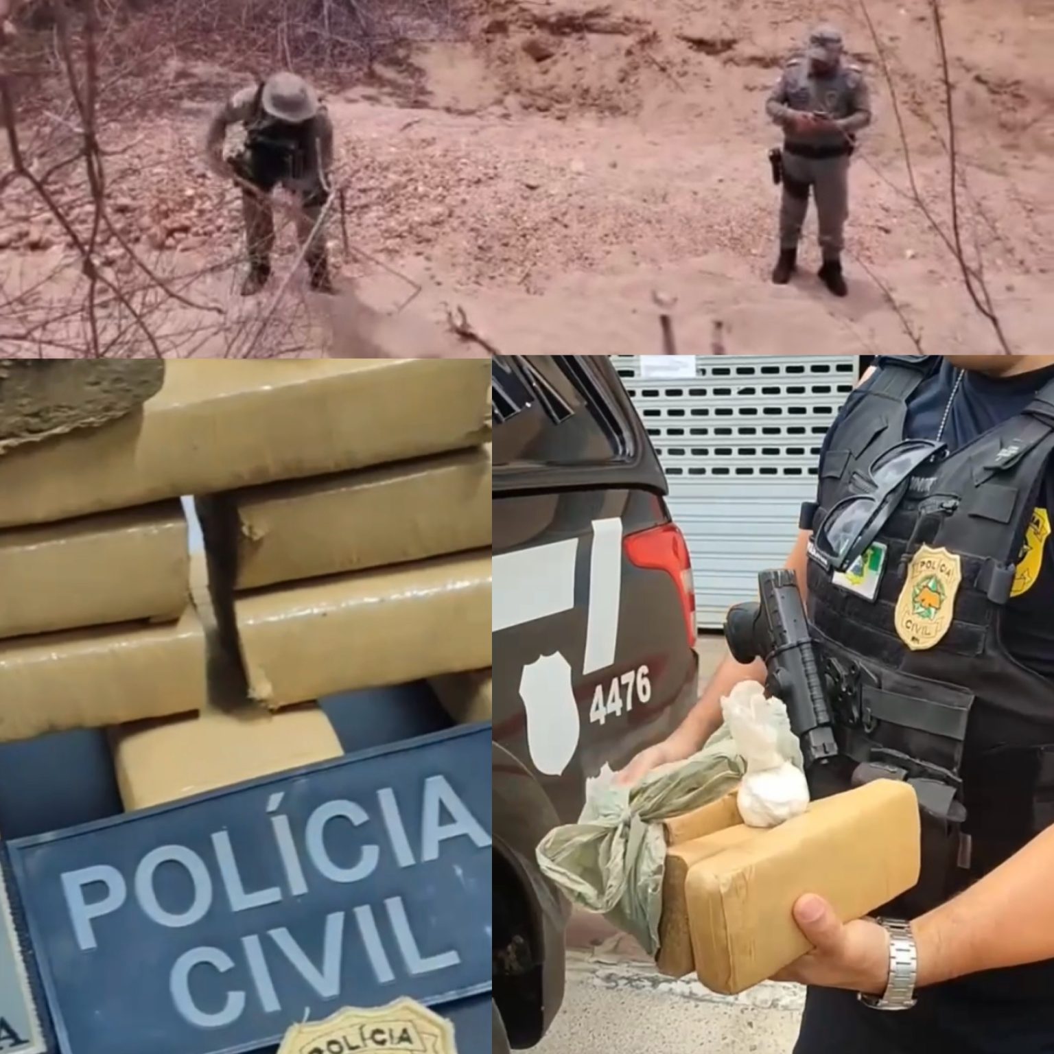 Polícia Civil, com apoio da Polícia Militar, apreende grande quantidade de drogas em Parelhas