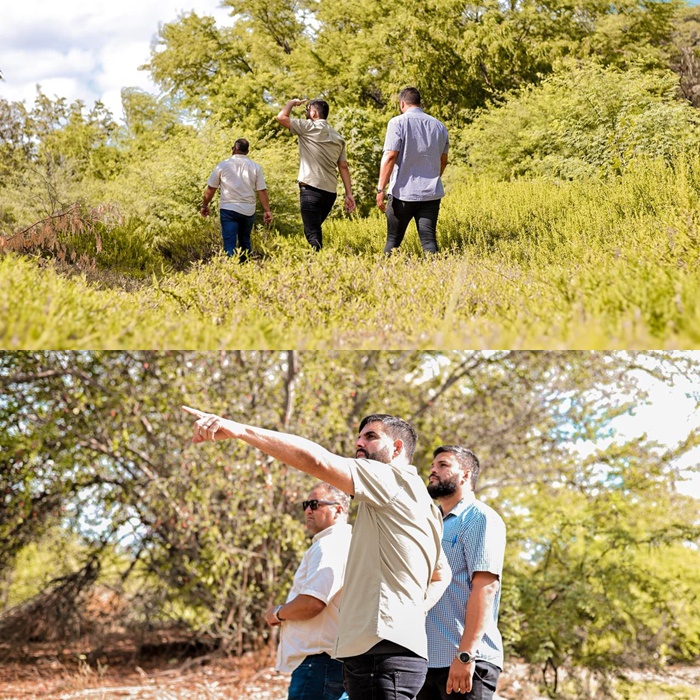 PREFEITURA VAI INICIAR GRANDE PROJETO DE ARBORIZAÇÃO COM ESPÉCIES NATIVAS EM DIVERSOS PONTOS DA CIDADE