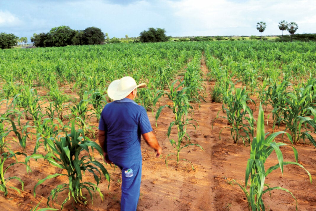 Dia de São José renova esperança de bom inverno no RN; confira previsão
