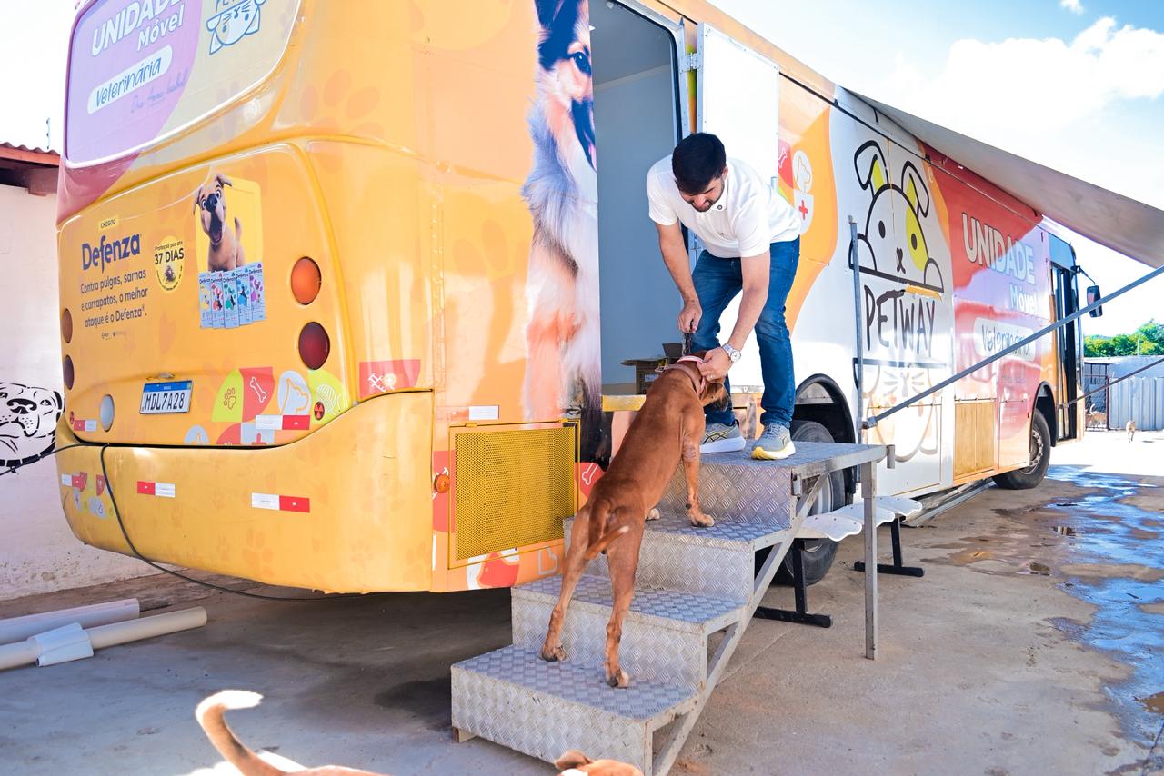 Prefeitura de Currais Novos amplia programa de castração para animais em situação de rua