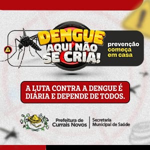 banner-dengue-lateral