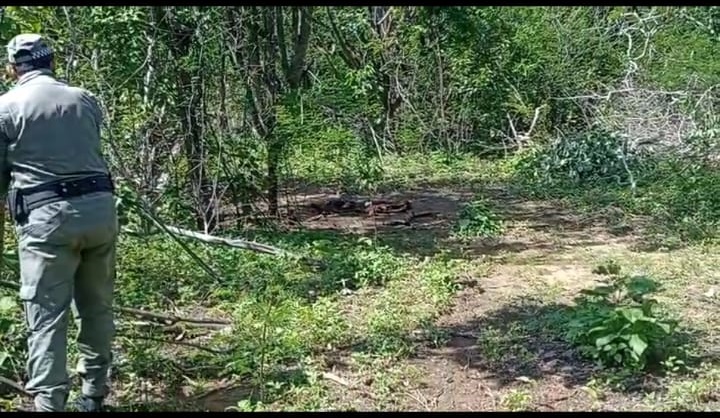 Corpo em decomposição é encontrado na zona rural de Cerro Corá