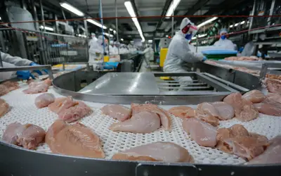 Conflito no Oriente Médio deve encarecer carnes de frango, suína e ovos