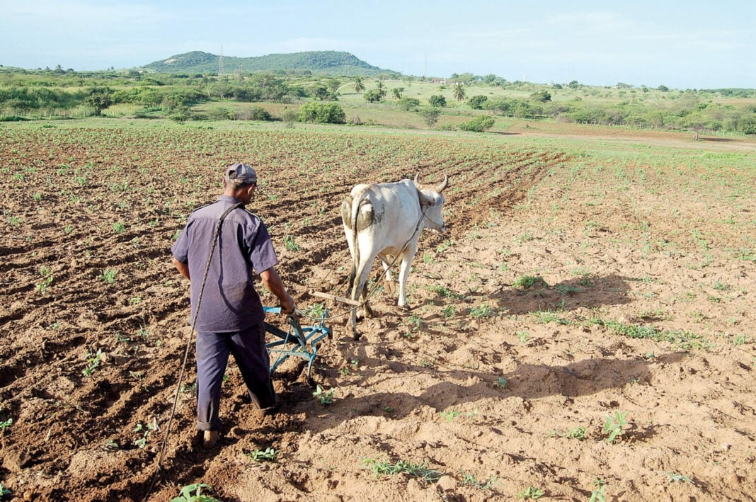 RN tem 2º pior resultado do País na geração de empregos em fevereiro