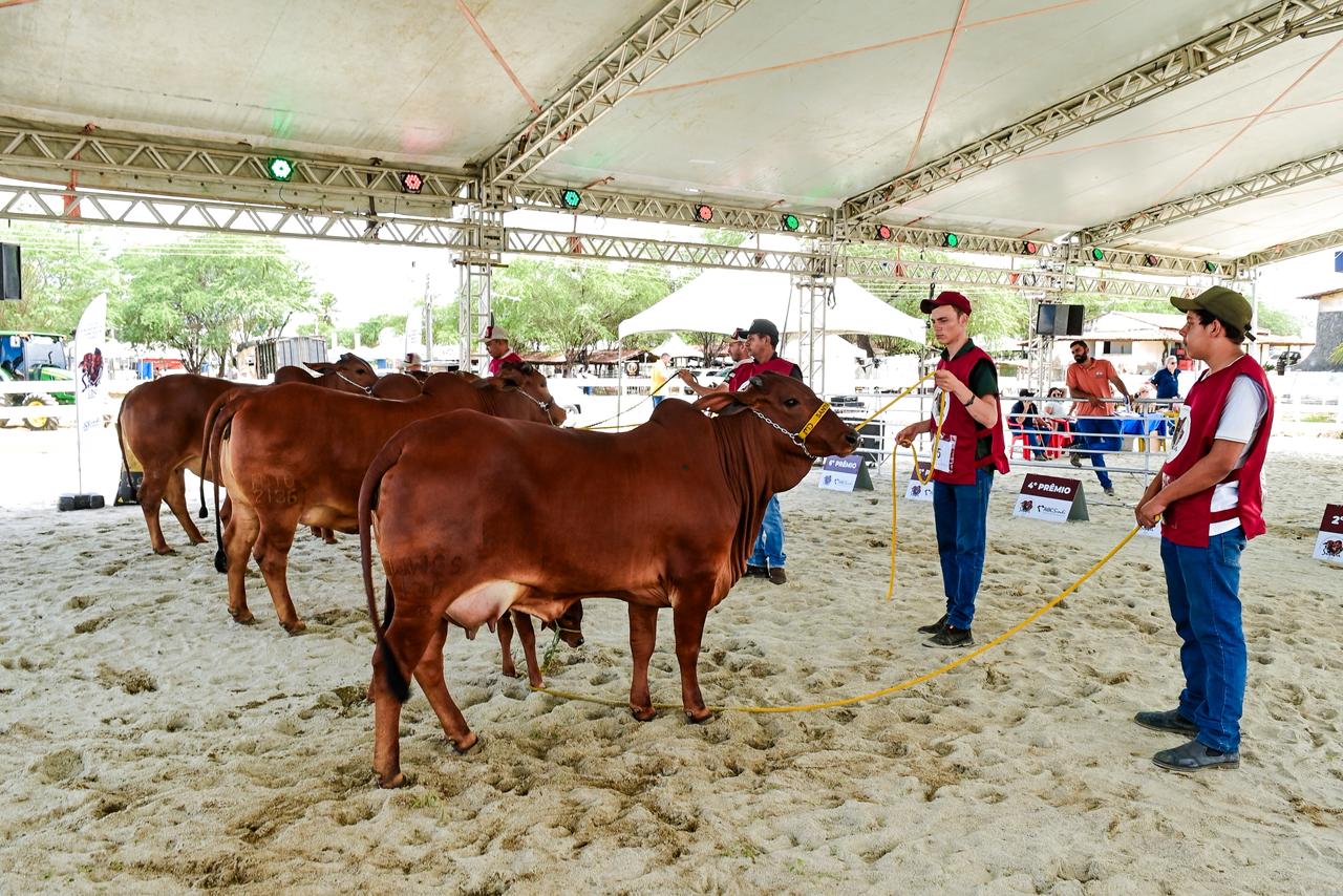 ExpoNovos começa hoje com recorde histórico de animais e se consolida entre as maiores feiras do interior do RN