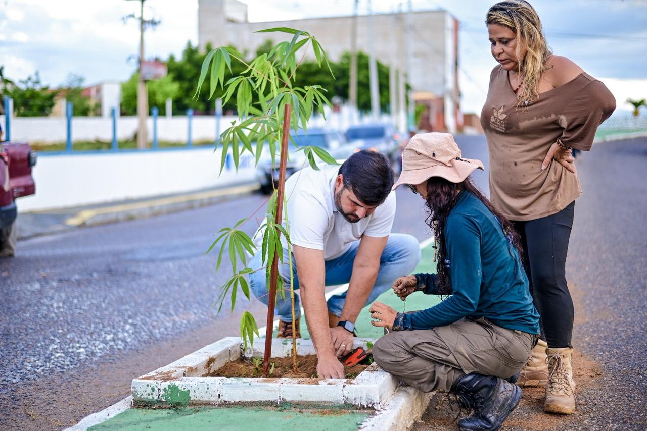 Currais Novos avança na arborização urbana com plantio de mais de 100 árvores
