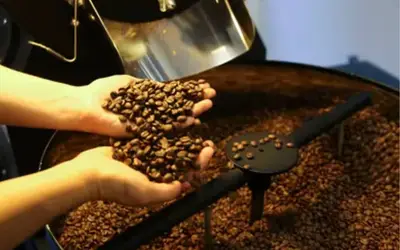 Café hoje: confira cotações para esta segunda (25)