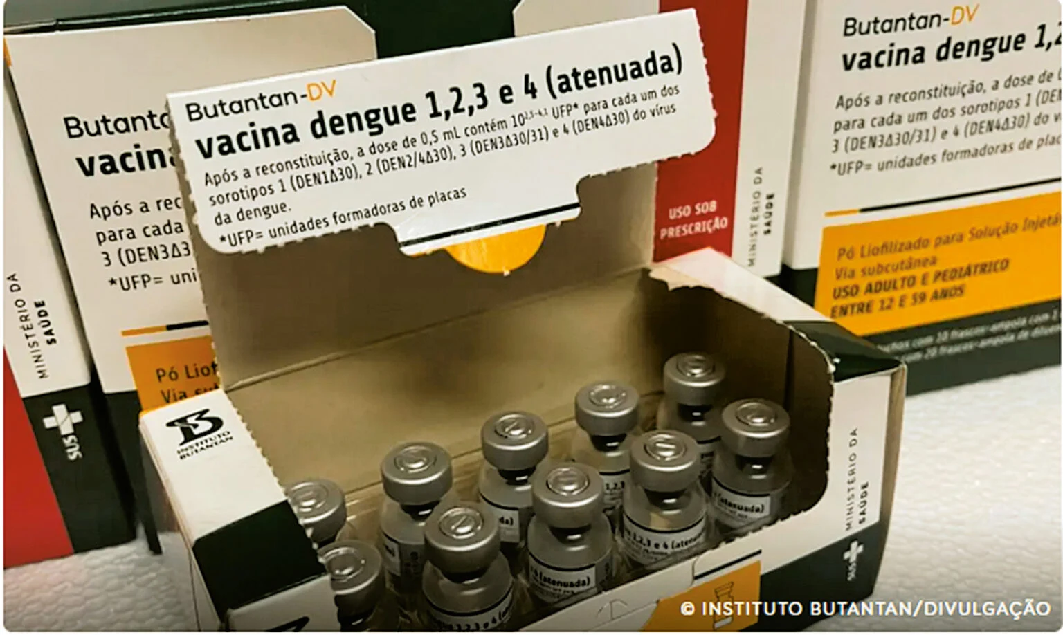 Ministério da Saúde suspende uso de vacina do Butantan contra a dengue