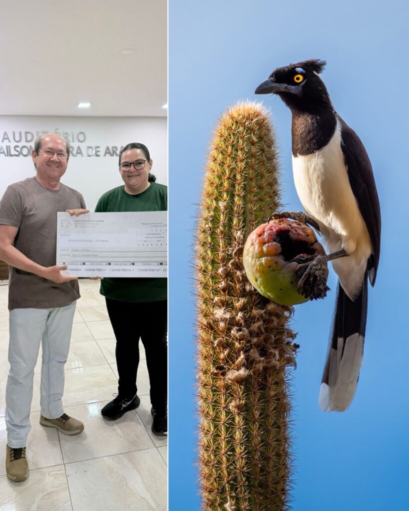 Meio Ambiente | Curraisnovense Eugênio Oliveira conquista prêmio em concurso internacional de fotografia da UNESCO