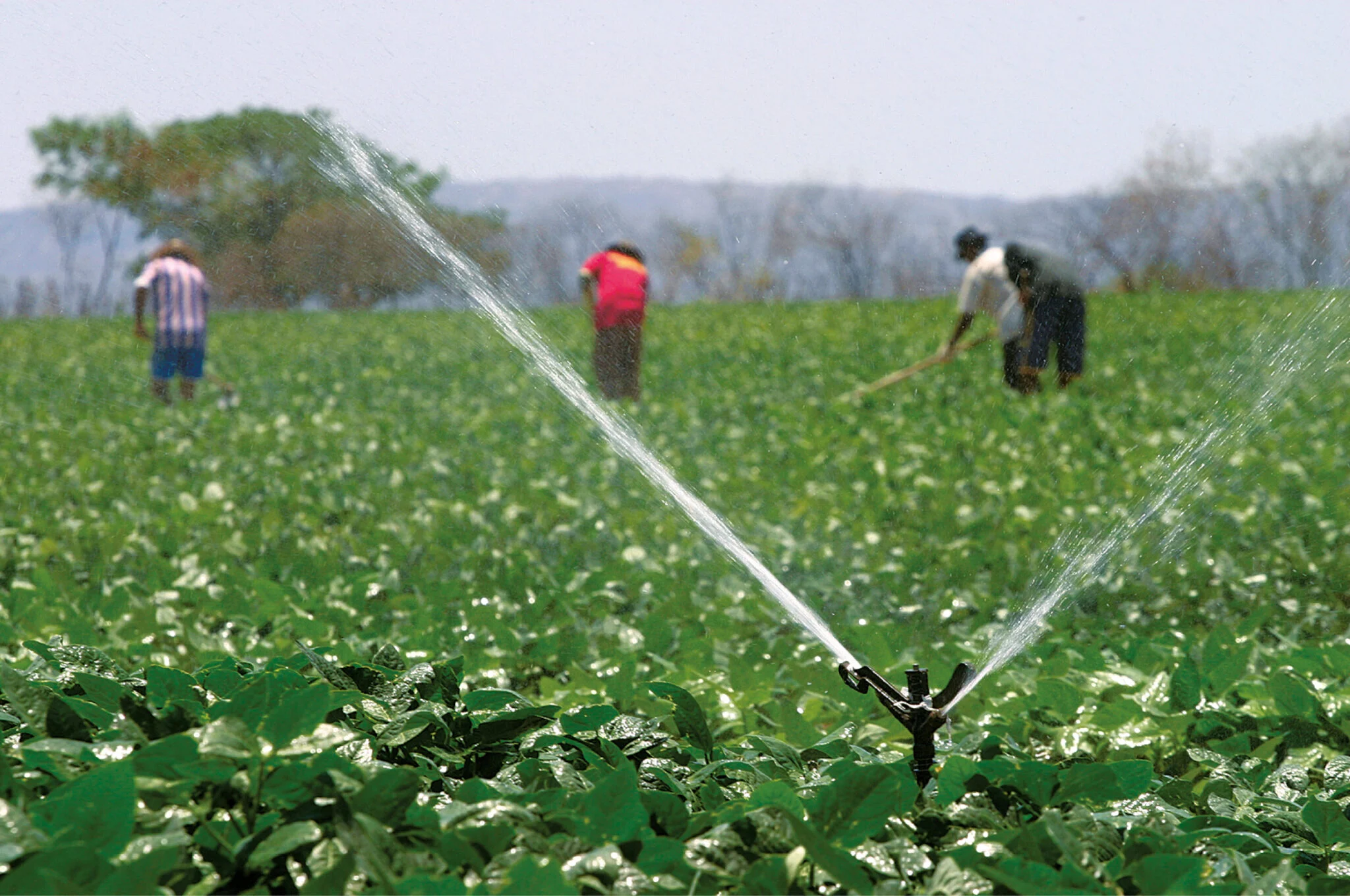 Inadimplência do agro potiguar no 1º trimestre é a mais alta do Nordeste