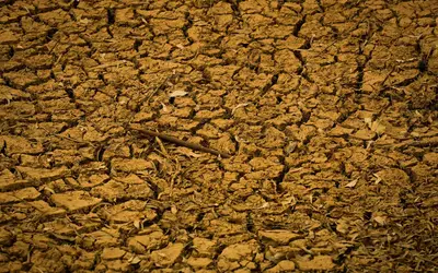 Bancada do Agro analisa contraproposta do governo sobre dívidas rurais