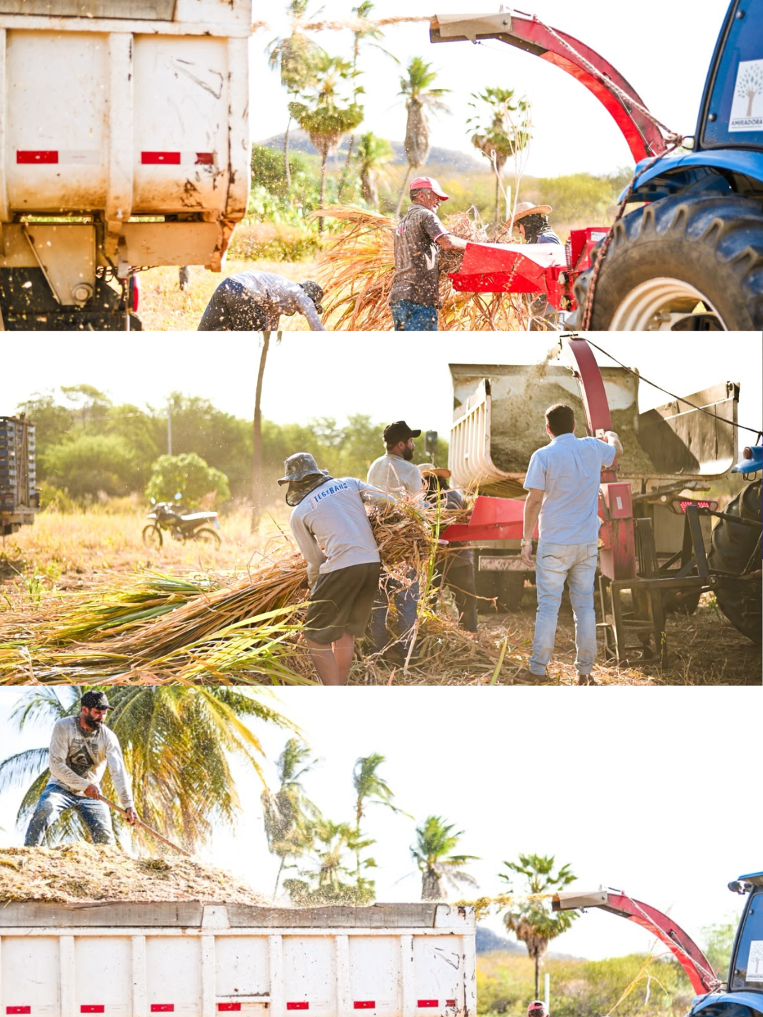 Prefeitura de Currais Novos amplia Programa de Silagem e fortalece apoio ao homem do campo