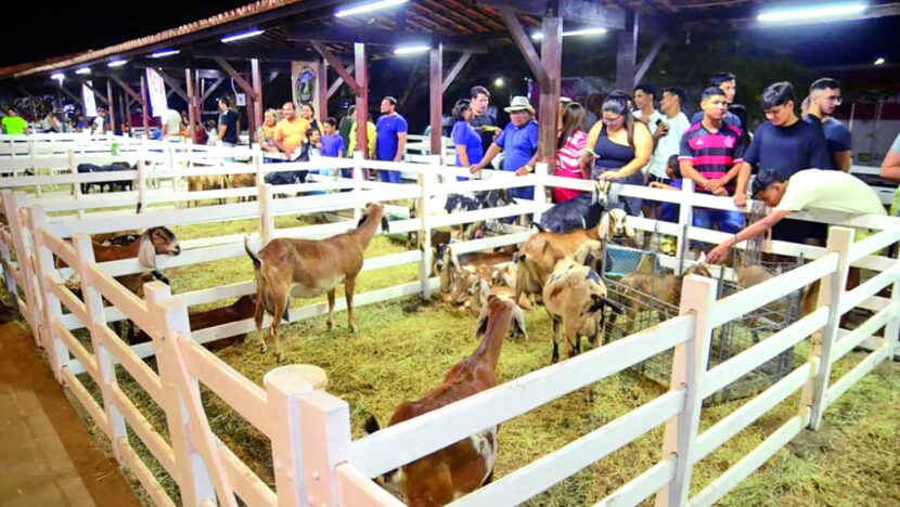 Festa do Bode 2026 começa em Mossoró com expectativa de movimentar R$ 16 milhões