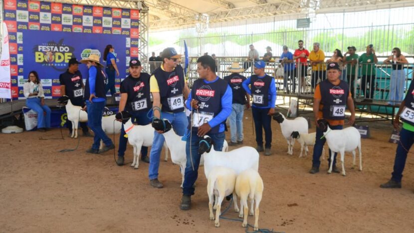 Festa do Bode fecha com R$ 17 milhões em crédito e 1,3 mil animais, recorde em 26 edições
