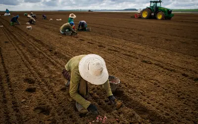 Governo atrasa pagamento de R$ 141 milhões de contratos do Seguro Rural