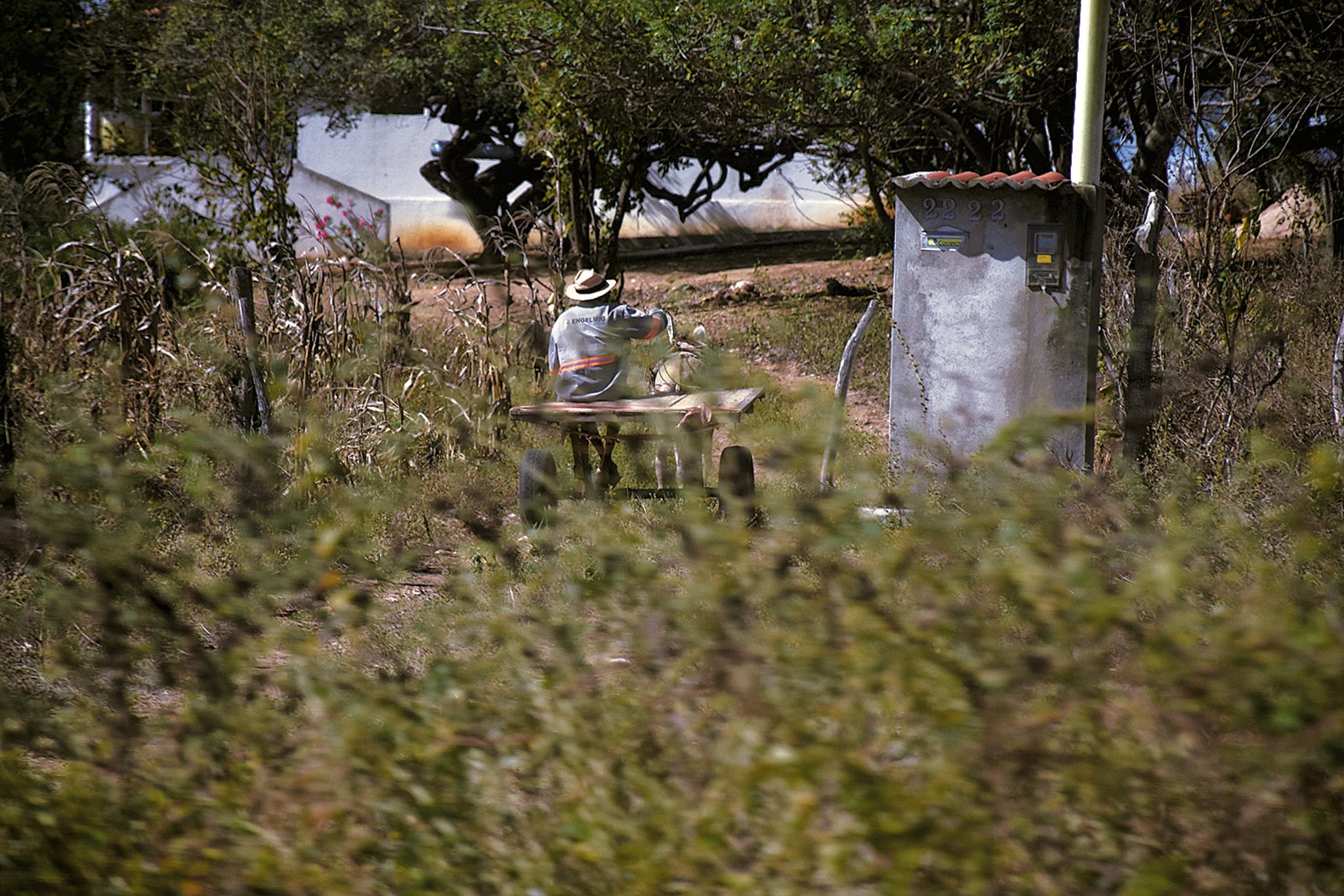 RN acumula prejuízo de R$ 68 milhões com o El Niño em 2026, aponta a CNM