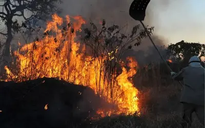 Mais de 500 municípios têm risco alto de fogo previsto até novembro, aponta governo