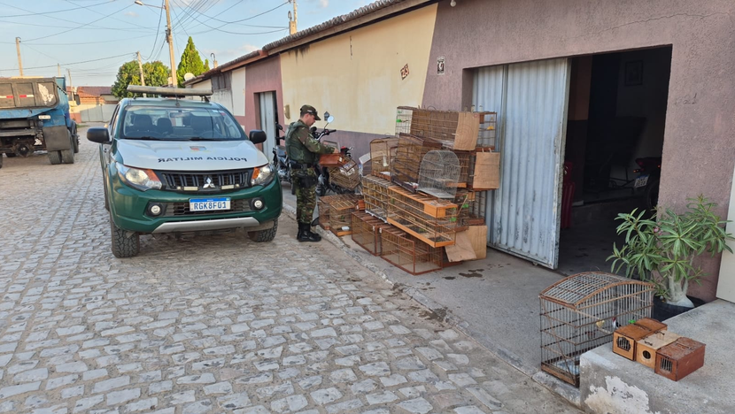 Homem é preso com aves silvestres em cativeiro e 5 kg de chumbo no interior do RN